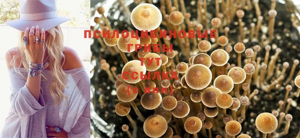 стаф Балабаново